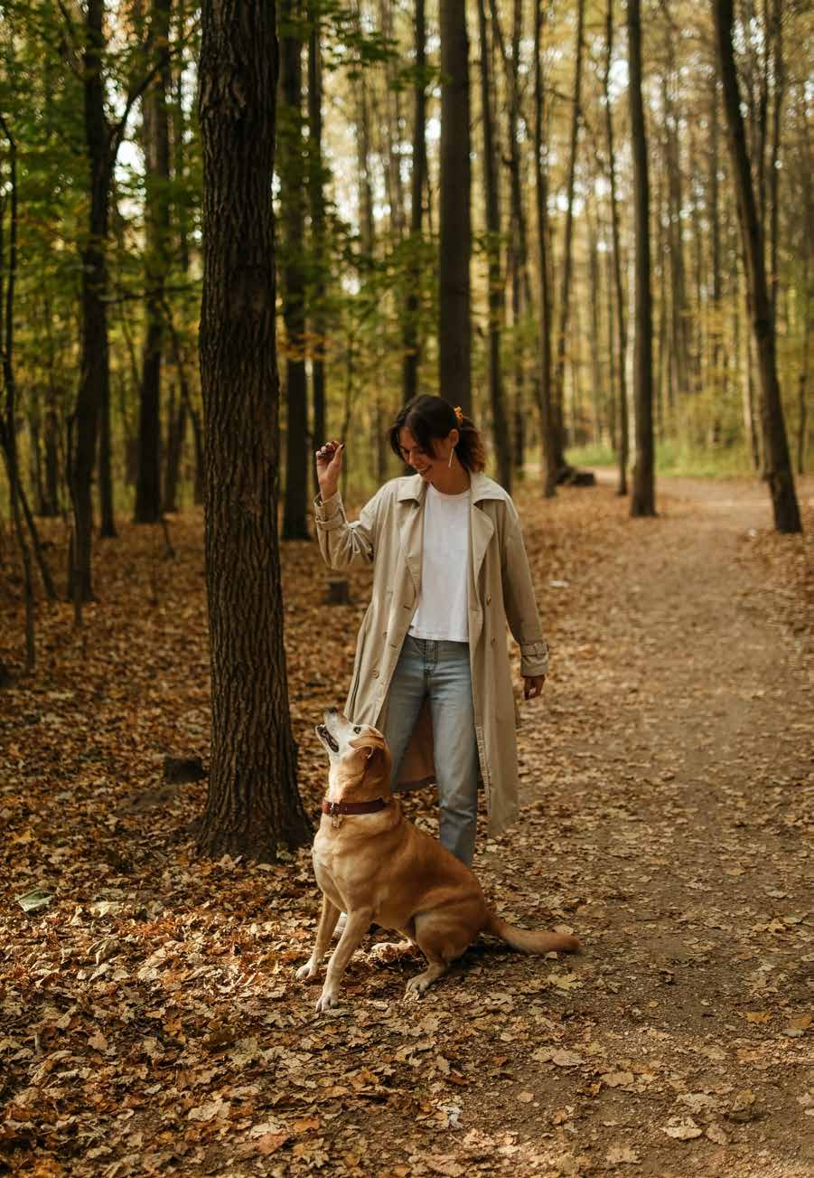 Walking a dog along a wooded trail near Countryside Urban Towns